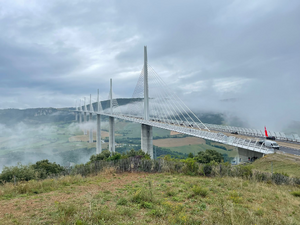 Enlèvement arbre urgence Millau